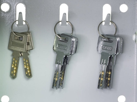 Burton Keyguard Remote Key Safe